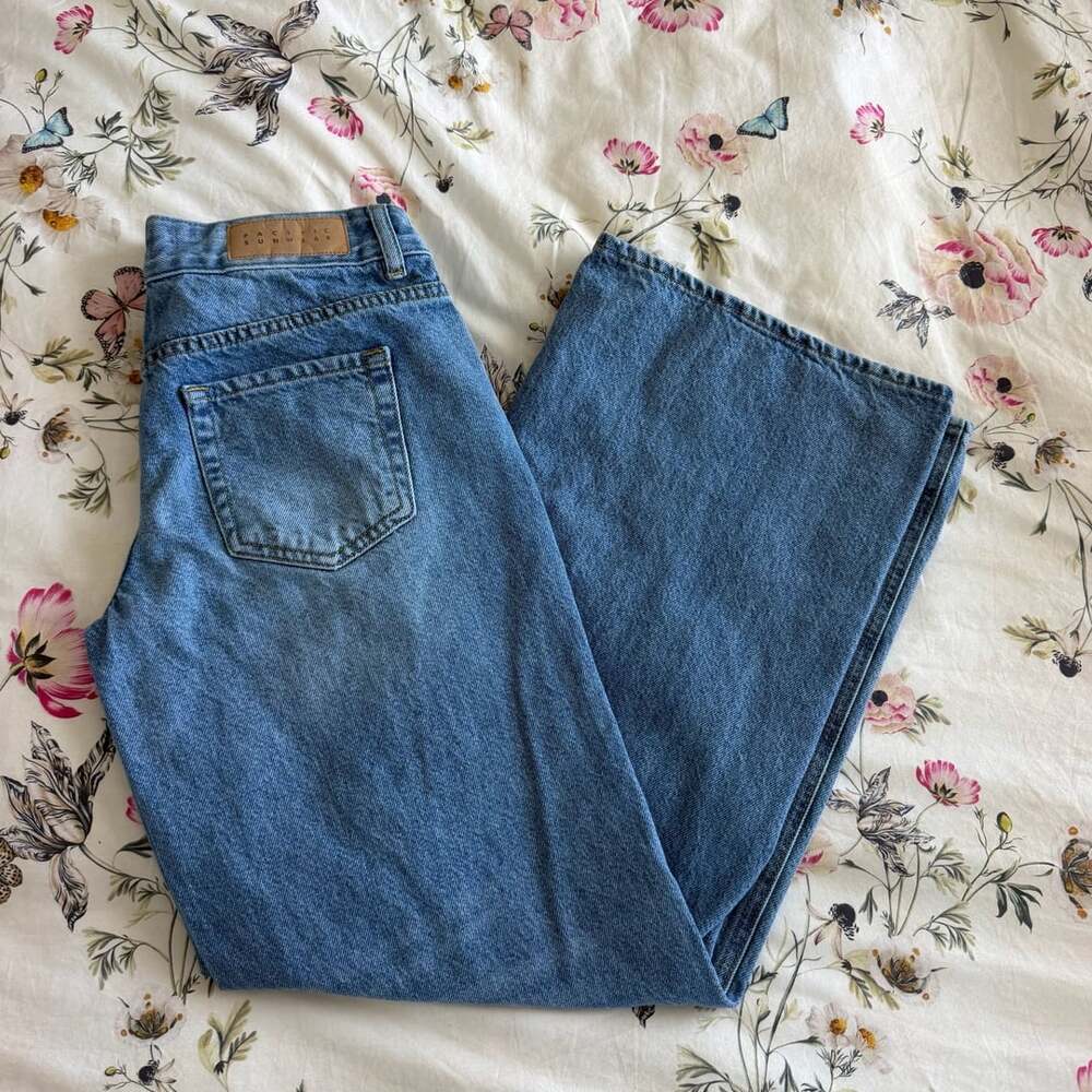 Pacsun Low Rise Baggy 25 Jeans